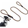 Lihtaiyi Cavezza multifunzione con 8 cavezza imbottita in pelle, stopper, guinzaglio retriein, guinzaglio per cani (marrone)