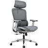 Hbada P2 Sedia Ufficio e Scrivania Ergonomica, con Supporto Lombare Regolabile 3D, Braccioli Regolabili 360°, Testiera Regolabile 3D, Inclinazione Continua 135°, Grigio senza Poggiapiedi