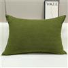 Generic Federa per cuscino in peluche, federa per cuscino per casa, grande cuscino per divano con cerniera invisibile, fodera morbida elastica in vita (dimensioni: 35 x 65 cm, colore: verde scuro)