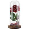 Hakeeta Rosa del Piccolo Principe, Fiore Rosa eterno conservato con Stringa LED in Cupola di Vetro.Buon per Fidanzata, San Mothers'Day (Rosso)(Rosso)