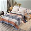 Highdi Coperta Pile Divano Plaid, Morbida Coperte per Letto Singolo Matrimoniale Soffice e Calda Coperta Pile Invernale per Bambini Adulti (120x200CM,Plaid a Righe)