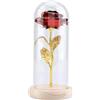Hakeeta Fiore rosa del piccolo principe, fiore rosa eterno conservato con stringa LED in cupola di vetro.Buon per fidanzata, San Valentino, festa della mamma(Rosso)