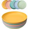 HQCM 5 piatti da campeggio riutilizzabili, 23 cm, grandi piatti in plastica rigida compatta, infrangibili, lavabili in lavastoviglie, per feste, casa, viaggi, colorati