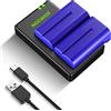 NEEWER Set di Batterie & Caricatore NP-F550 Compatibile con Sony NP-F970 F750 F770 F960 F550 F530 F330 F570 CCD-SC55 TR516 TR716 TR818 TR910 TR917, Neewer Luci LED Monitor Slider (2pz, Blu)