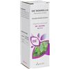 Adamah Eie Boswellia Estratto Idroenzimatico Integratore Gocce 30ml