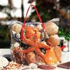 25X Naturale Stella Marina Cover Corallo Mare Lumaca Pesce Acquario Ornamento