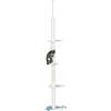 PawHut Albero Tiragraffi per Gatti a Soffitto con Palo Regolabile da 225-255 cm, Pallina e Piattaforme, Bianco | Aosom Italy