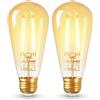 DiCUNO Lampadina LED E27 ST58 2.5W, Efficienza energetica classe B, Lampadina a filamento equivalente 40W alogena, Bianco caldo 2700K, 480lm, LED E27 Edison vintage, Non dimmerabile, 2 Pezzi