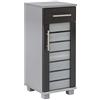 Schildmeyer Niko 113292 - Armadietto, 30,3 x 32,6 x 75,3 cm, colore argento lucido e grigio antracite lucido