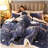 ZTGL Trapunta Piumino Invernale in Tessuto Flanellato Caldo Piumone in Pile Sherpa, Morbida e Calda, Piumone con Stampa Double Face Matrimoniale Coperta Addensare Fluffy Inverno,E,150x200cm(1.75kg)