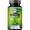 APOLLO'S HEGEMONY Artemisia 300 mg - Estratto di artemisia DER 4:1-90 capsule vegane - 2 mesi di fornitura - Integratore per il supporto digestivo - da Apollo's Hegemony