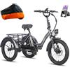 Fafrees Triciclo Elettrico per Adulti, Bici Elettrica Pieghevole a 3 Ruote, Batteria Rimovibile da 48V 18,2Ah, Autonomia 70 km, Pneumatici Larghi da 20 * 3,0 POLLICI, F20 Mate Ebike (Nero)