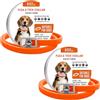BKEPDY Collare Antiparassitario per Cani Collare Antipulci Cane Collare Antipulci e Zecche per Cani Collare Regolabile Impermeabile 8 Mesi di Protezione per Tutti i Tipi di Cani 65 cm Taglia Unica