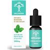 Lamacoppa Leaf Sciences Wellcanapa Olio CBD 30% alla menta rinfrescante in olio di Cocco (MTC) CBD Oil 100% Naturale e Vegetale Made in Italy. Rilassante, benessere generale