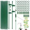ShengBiLong Bastoncini per Vasi, 20 Pezzi Supporto per Piante Stabilizzare, Viene Fornito con 30 Moschettoni con 15 Tubi di Srolunga, Stecche e Sostegni Orchidea, Tutori per Piante (105 PCS)