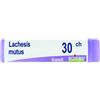 Boiron Lachesis mutus 30 ch globuli
