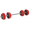 DecHome Set pesi da 20kg in dotazione 1 Bilanciere e 2 Manubri Dischi con Rivestimento in Plastica Antigraffio Rosso - 155ekA91