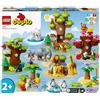 LEGO Duplo Animali del Mondo 1 St