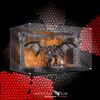 SHOWCASE LAB TECA IN PLEXIGLASS ACRILICO-SHOWCASE-TECA PER SET LEGO® 10367-Book Nook del Balr