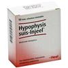 GUNA SpA Hypophysis Suis-Injeel 10 Fiale da 1,1ml - Rimedio Omeopatico per Alterazioni Endocrine e Disturbi Metabolici