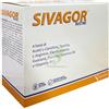 SIVAGOR 18 BUSTINE