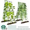 SUNYRISY 2 tralicci in metallo per cetrioli e pomodori | Rete a griglia per piante rampicanti, supporto per piante rampicanti, supporto per piante per fiori e piante vegetali, verde