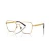 Dolce & Gabbana DG 1351 (02)