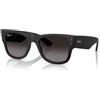 Ray-Ban RB 4840S (601ST3)