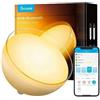 Govee H6022 | Lampada LED | RGBICWW, 2700k-6500k, Wi-Fi H60223D1