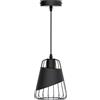 Aigostar Lampadario da soffitto Fuse Nero opaco 1 x E27 Aigostar