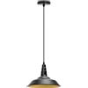 Aigostar Lampadario da soffitto Dish Nero opaco 1 x E27 Aigostar