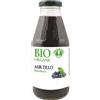 HEALTION Srl SOCIETA' BENEFIT PROBIOS Succo Mirtillo 500ml