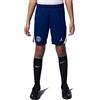 Nike Pantaloncini da Calcio per Bambini Grandi Jordan Dri-Fit Fourth del Paris Saint-Germain 2024/25, Blue Void/Phantom/Phantom, HJ3513-492, XL