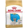 Royal Canin Bulldog Francese Puppy 3Kg Crocchette Cani Cuccioli