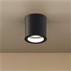 Applique da soffitto IP54 GU10 in Alluminio e Vetro - Nera