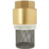 ROOwarMer Valvola di ritegno 1/2 3/4 1 1-1/4 1-1/2 2 2-1/2 3 pollice - valvola di fondo con filtro valvola antiritorno per pompa (2 pollice)