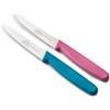 LACOR - 39087 - Coltelli da Cucina Professionali, Set Coltelli da Cucina, Set 2 Pezzi, Coltelli da Bistecca Seghettati, Acciaio Inossidabile, Serie Etern, Lama 11 cm, Blu e Magenta