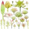 Woohome NA Woohome 20 Pz Succulente Piante Artificiali Bianca Piante Grasse Finte Decorative Uncotted Faux Flower Succulente per Parete DIY Home Decor
