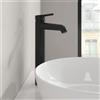 Villeroy & Boch Skyla rubinetto lavabo rialzato, TVW116003000K5, Skyla nero opaco [Rubinetteria Bagno > Rubinetteria Lavabo]