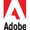 Adobe Lightroom w Classic for teams, EU English (100+) - 1 65305308CA04A12