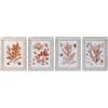 DKD Home Decor Telaio, Standard