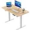 HOMAVO Scrivania elettrica Sit-Stand 140x70cm, scrivania elettrica con memoria e funzione anticollisione, porta di ricarica rapida USB-A e Type-C, scrivania regolabile in altezza (70-119 cm)