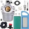 Qiuwanzia 590399 Carburatore per Briggs & Stratton 21A902 21A907 21A807 21A977 21A907 21A877 21B902 21B907 21B972 21B977 21D807 Parti per motori di tosaerba 796077 con filtro aria 794421