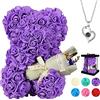 POHOMEGK Regali di San Valentino per Lei,Regali per Donne Orso on Rose,Compleanno Orso Fiore Rosa per Fidanzata,Regali di San Valentino per Donna,Regali d'Amore romantici Carini (Viola)