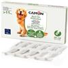 CAMON | Spot-On Protection Cane (>11kg), 5 Fiale da 5ml con Olio di Neem, Protezione Naturale per Cani