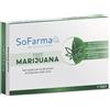 So.farma.morra SpA Sofarmapiu' Test Autodiagnostico Rapido Marijuana 1 pz