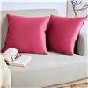 Blumtal Set di 2 Federe Cuscini Divano 40x60 cm in Velluto, con Chiusura Lampo Invisibile, Eleganti Copricuscini Divano in Morbido Velluto,Taglia 40 x 60, Rosa