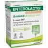 ALFASIGMA SpA ENTEROLACTIS 12 Bust.Oro*8MLD