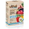 Vithal polvere di roccia zeolite