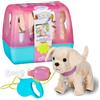 BABY born Il Mio Cane Lucky - Peluche con 5 diverse funzioni - Funziona a batterie - Adatto ai bambini dai 3 anni in su
